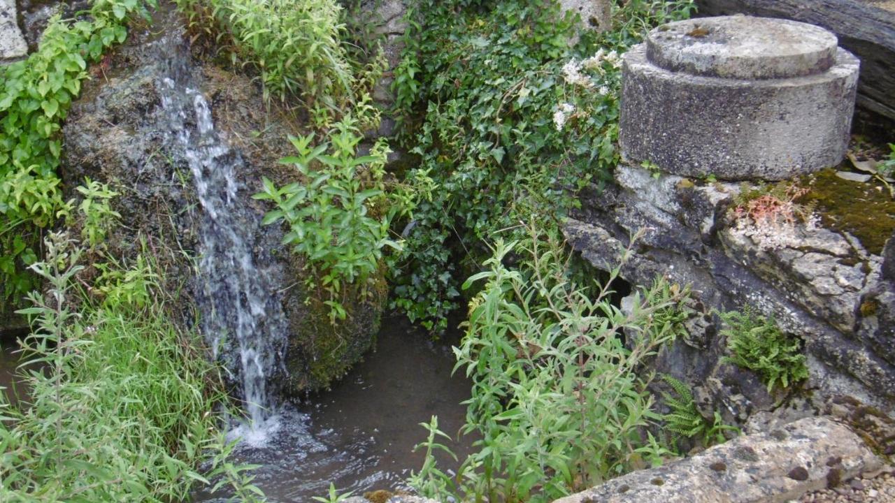 Gite Ancien Lavoir Viserny Exteriér fotografie